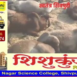 swatantra-shivpuri-263