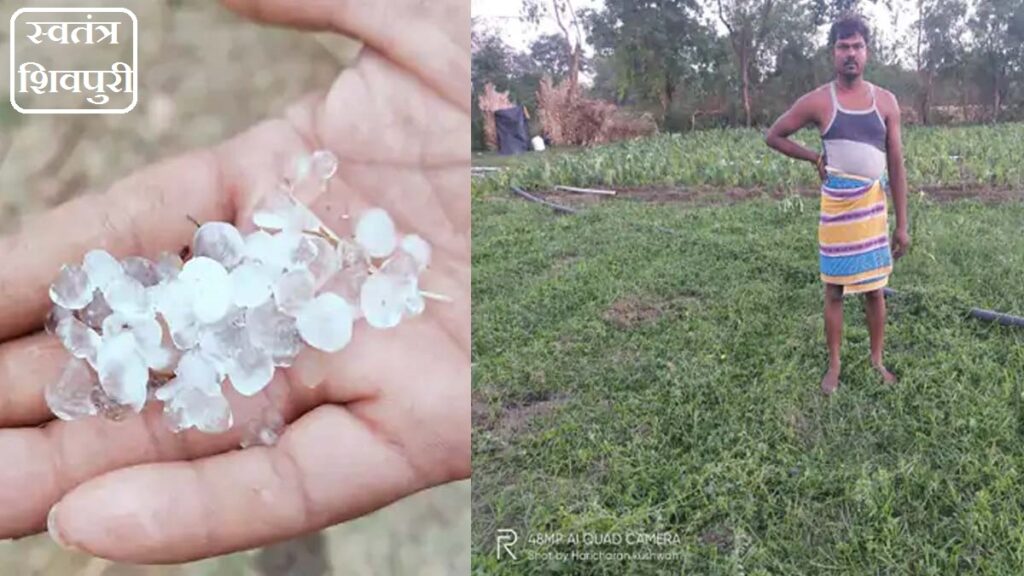 swatantra shivpuri 11