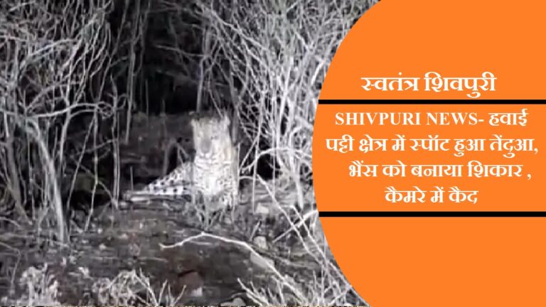 swatantra shivpuri 22