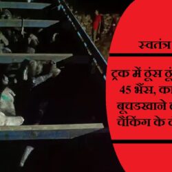 swatantra shivpuri 29