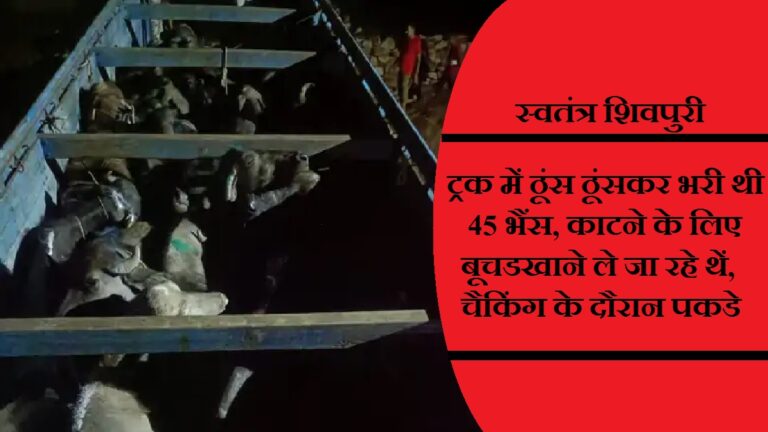 swatantra shivpuri 29