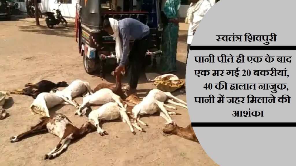 swatantra shivpuri 53