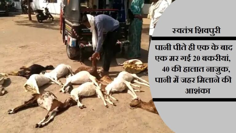 swatantra shivpuri 53