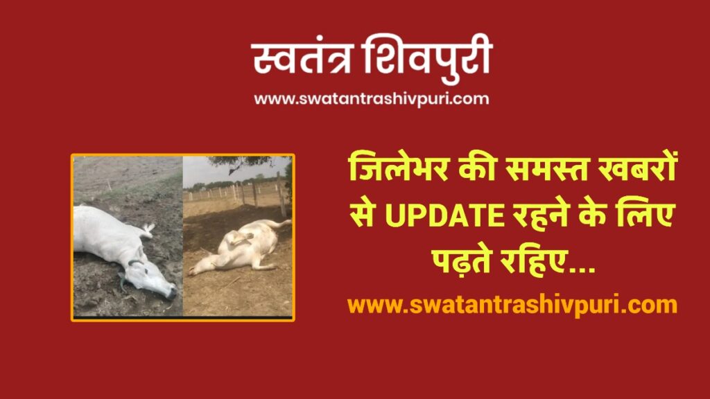 Swatantra shivpuri