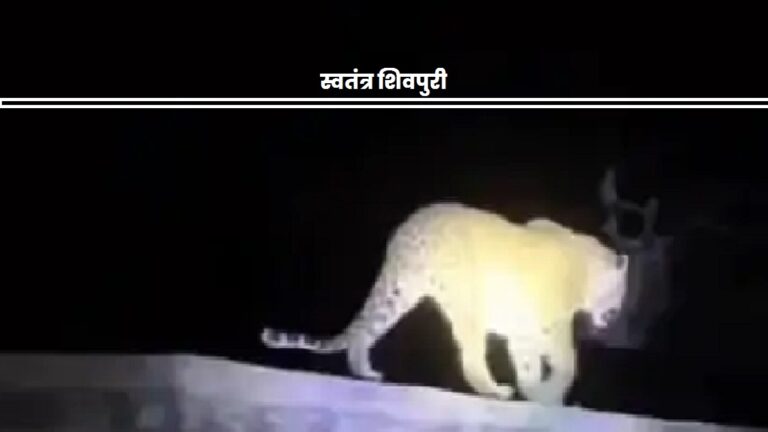 swatantra shivpuri 19