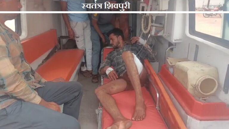 swatantrashivpuri 13