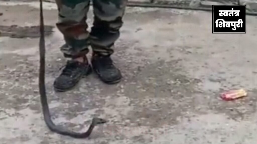 Picsart 24 07 01 15 30 46 519