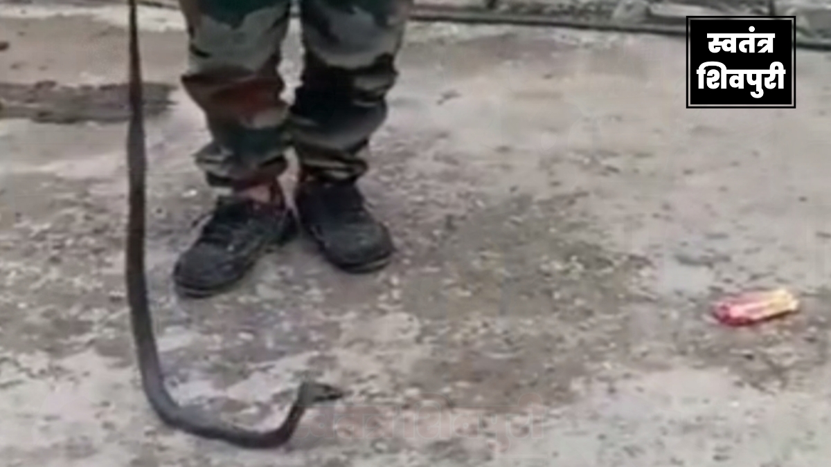 Picsart 24 07 01 15 30 46 519