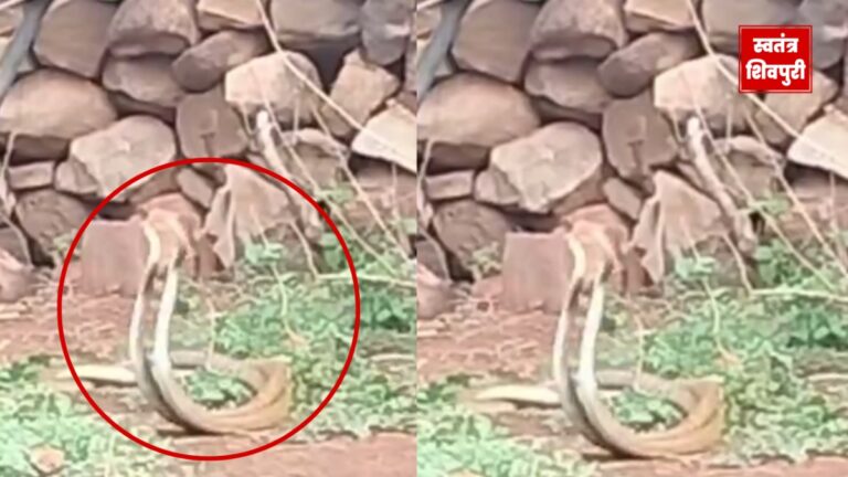 Picsart 24 07 01 19 10 33 556