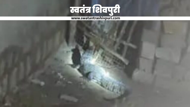 Picsart 24 07 05 18 18 49 764