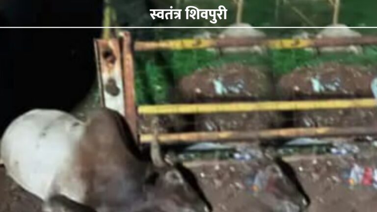 Picsart 24 07 08 20 11 23 471