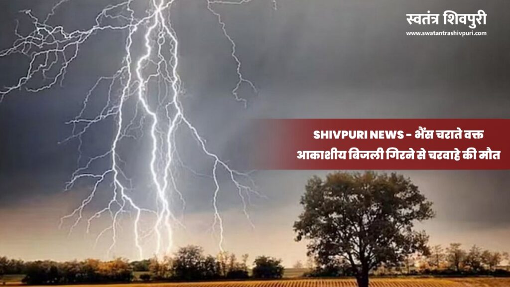 Picsart 24 07 09 12 56 37 413