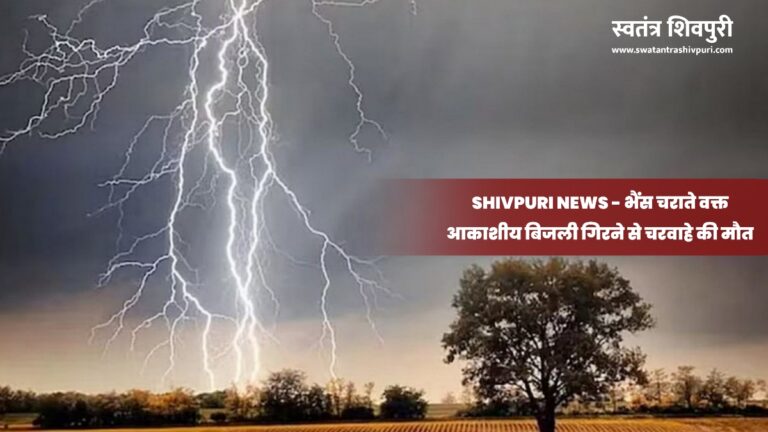 Picsart 24 07 09 12 56 37 413