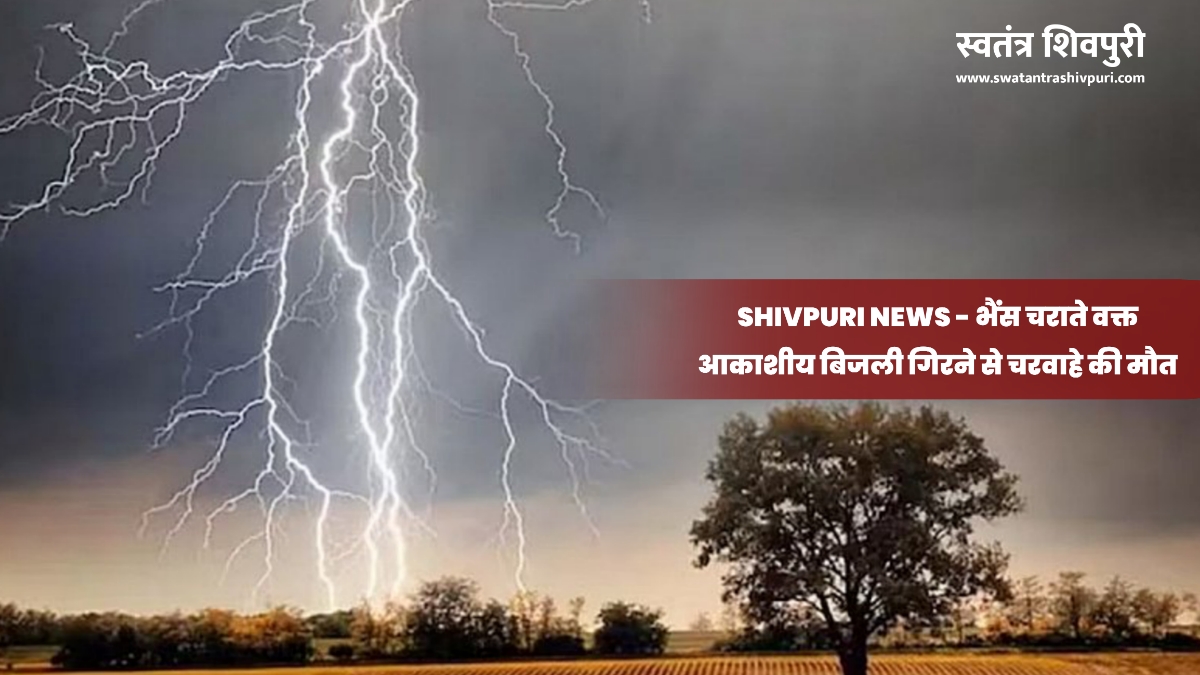 Picsart 24 07 09 12 56 37 413