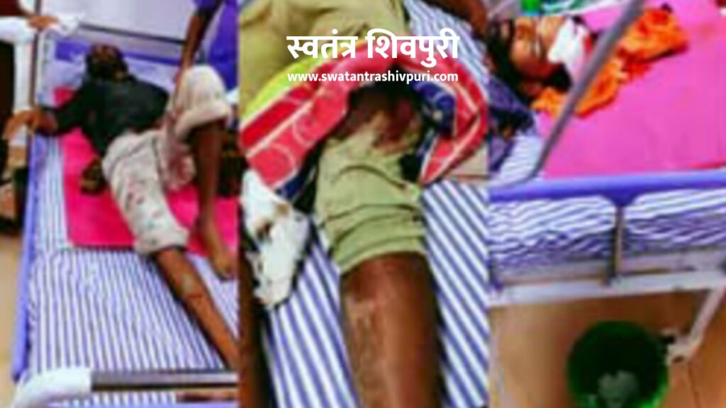 Picsart 24 07 09 13 10 44 936