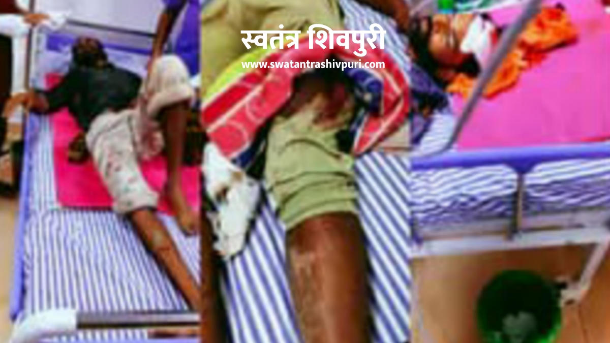 Picsart 24 07 09 13 10 44 936