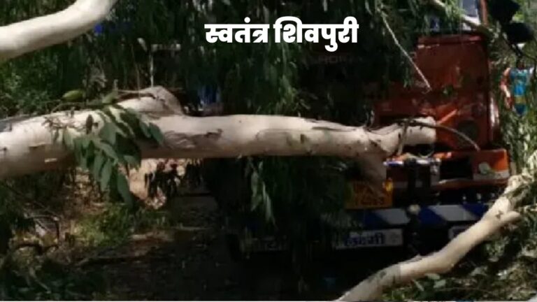 Picsart 24 07 14 22 34 19 579