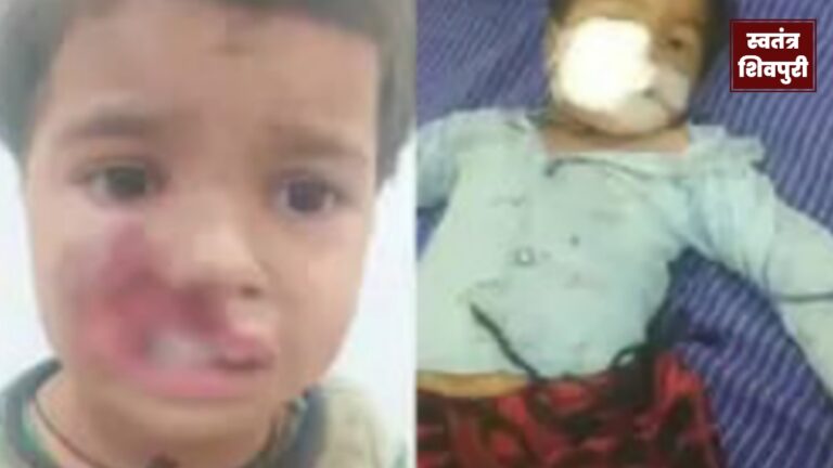 Picsart 24 07 21 13 38 53 272