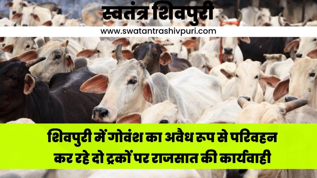 Picsart 24 07 30 19 27 18 783