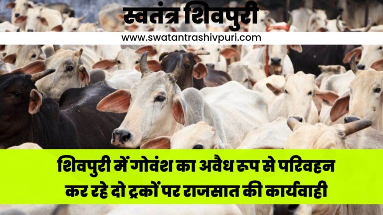 Picsart 24 07 30 19 27 18 783