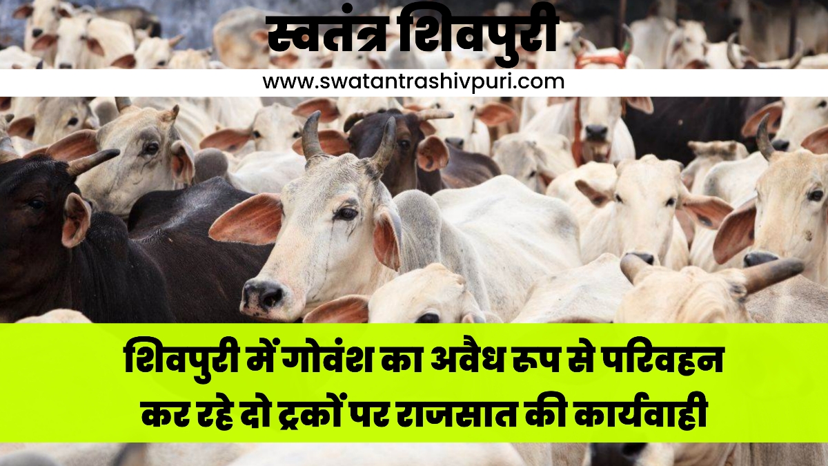 Picsart 24 07 30 19 27 18 783