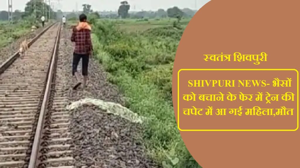 swatantrashivpuri