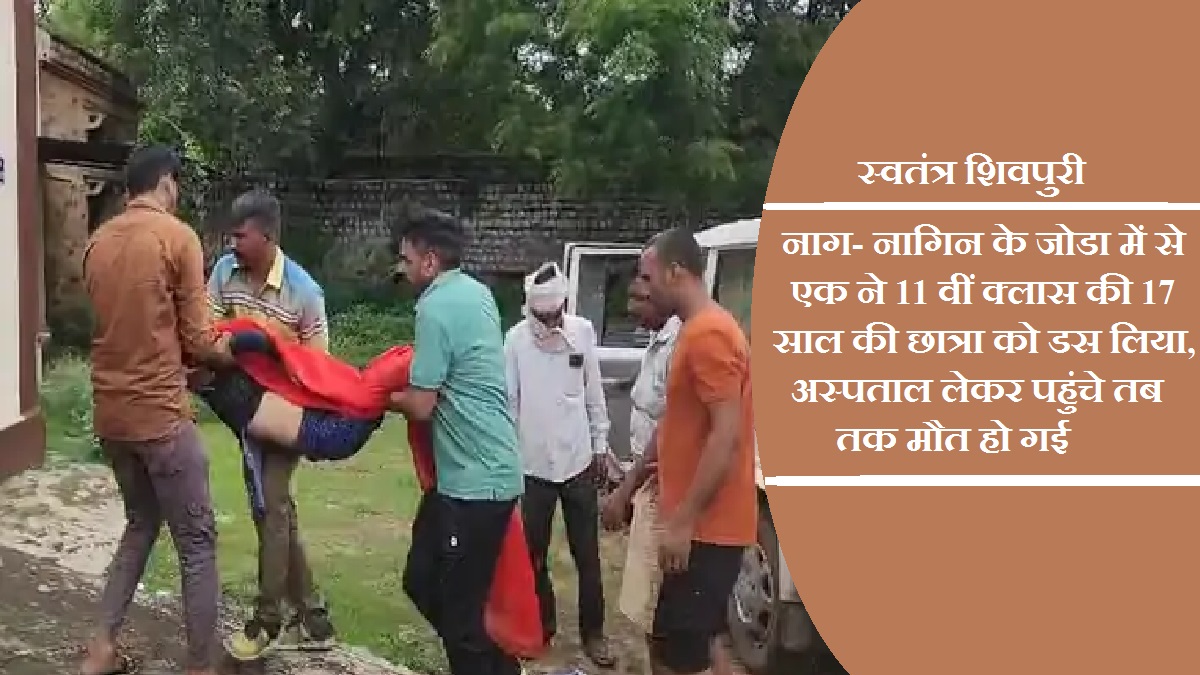 swatantrashivpuri 13