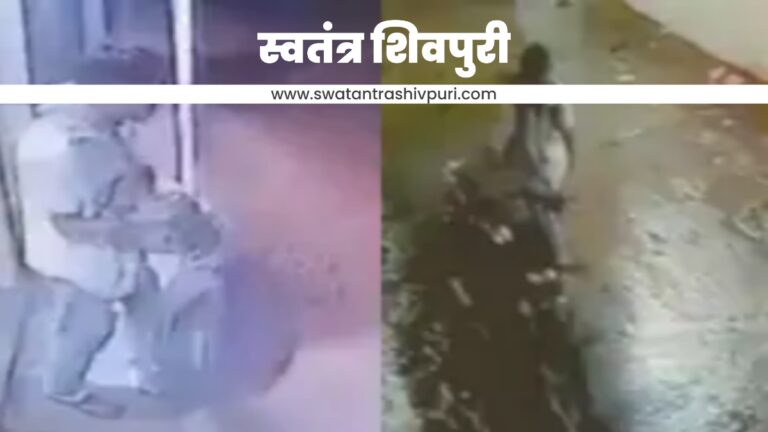 Picsart 24 08 02 20 22 12 458