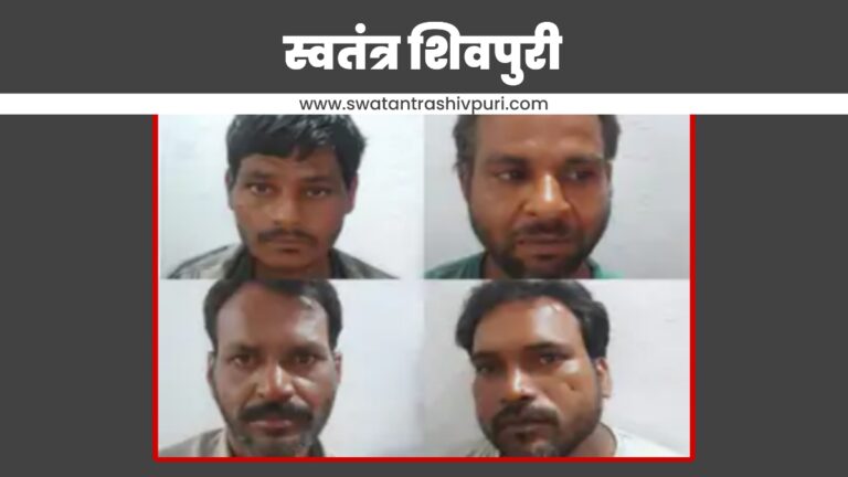 Picsart 24 08 02 20 23 42 382