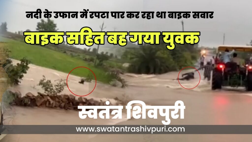 Picsart 24 08 04 22 02 23 332