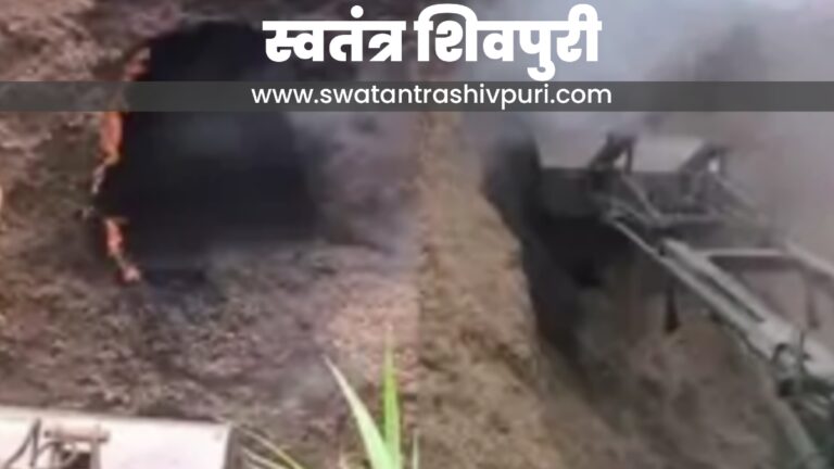 Picsart 24 08 05 20 38 02 984