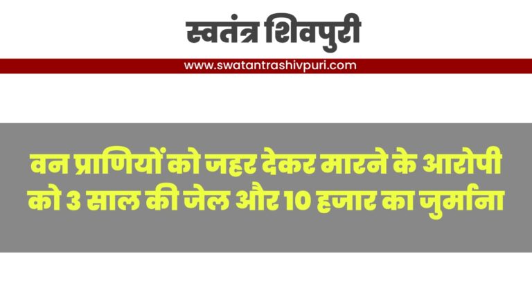 Picsart 24 08 06 22 21 09 867