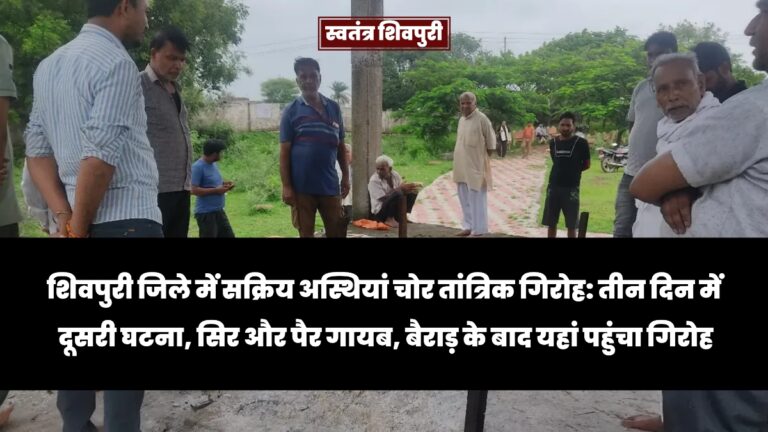 Picsart 24 08 07 13 06 26 690