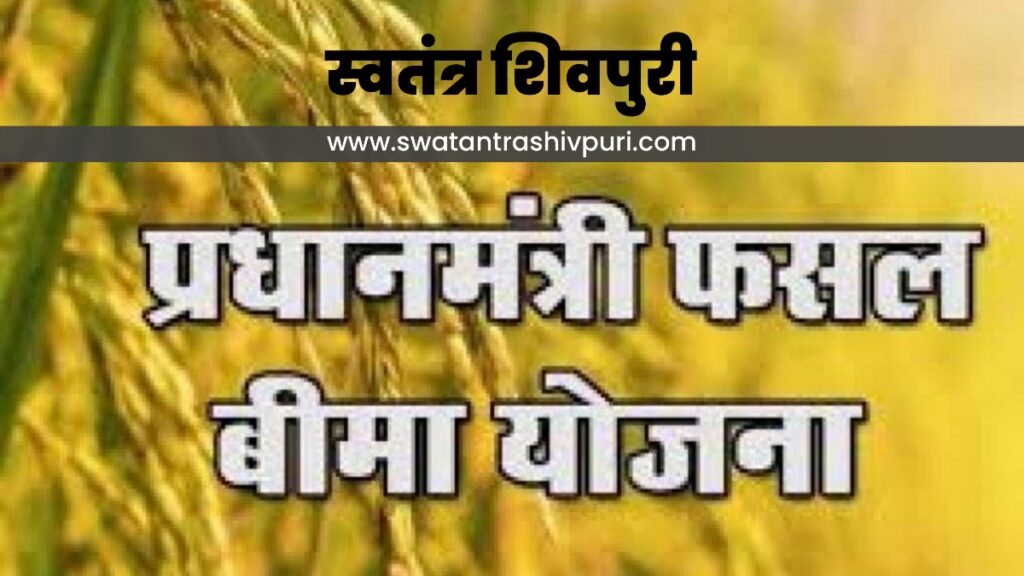 Picsart 24 08 07 20 18 17 914