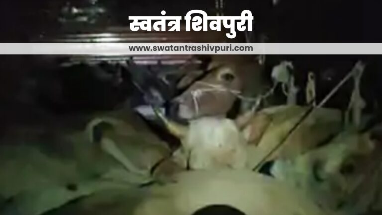 Picsart 24 08 18 15 34 27 669