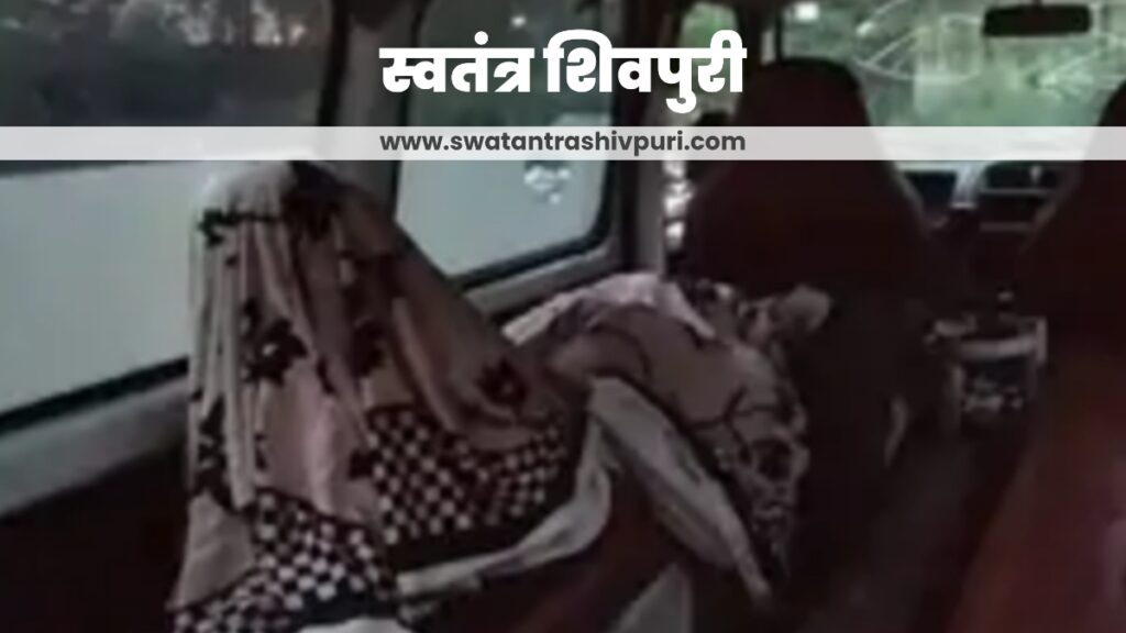 Picsart 24 08 18 15 34 45 487