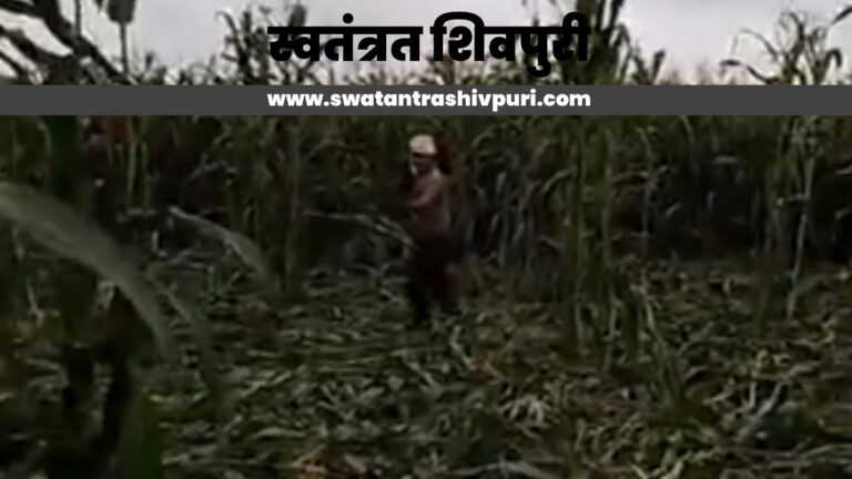 Picsart 24 08 19 17 04 37 284