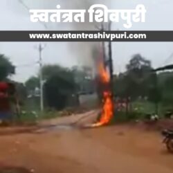 Picsart 24 08 19 17 06 34 696