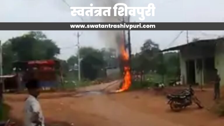 Picsart 24 08 19 17 06 34 696