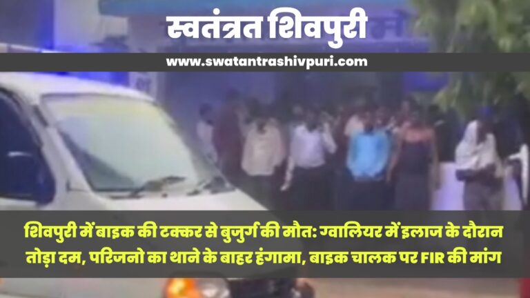 Picsart 24 08 19 19 16 22 533