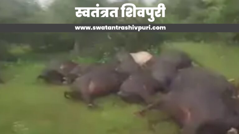 Picsart 24 08 21 15 02 37 683