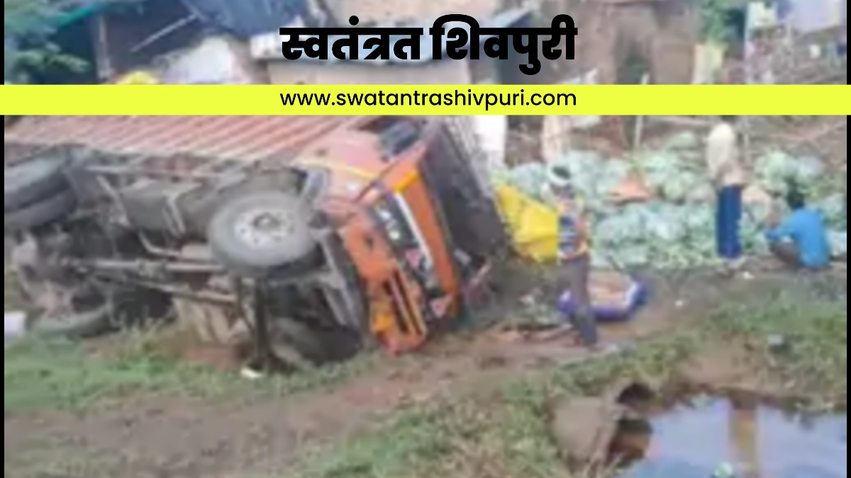 Picsart 24 08 21 15 03 51 476