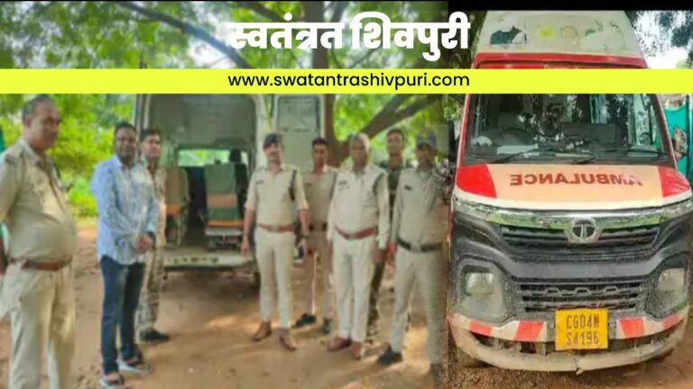 Picsart 24 08 21 15 05 48 193