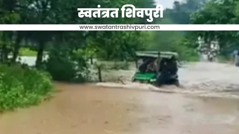 Picsart 24 08 23 19 02 25 715