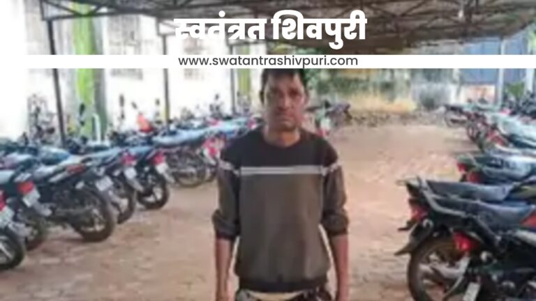 Picsart 24 08 23 19 03 26 935