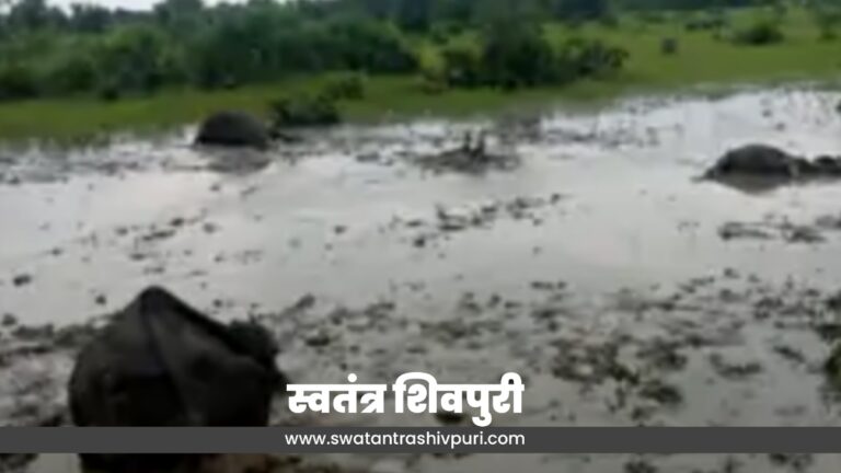 Picsart 24 08 25 18 54 01 949