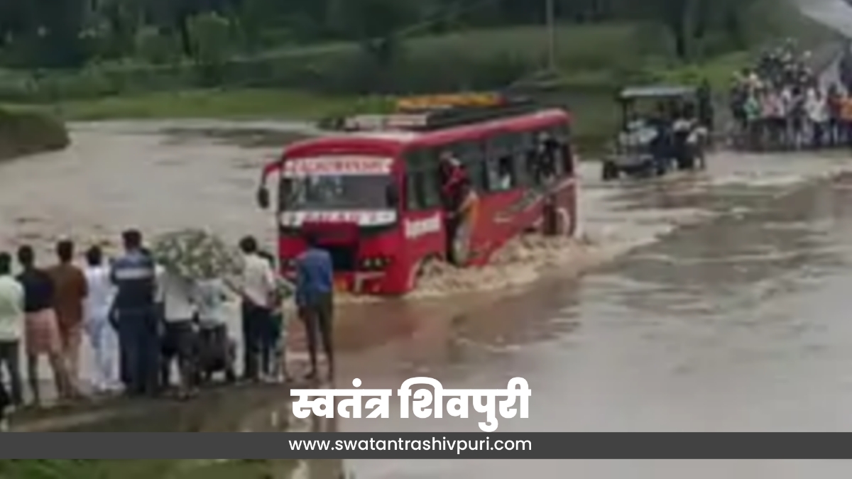 Picsart 24 08 25 18 56 05 085