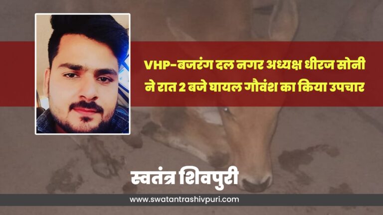 Picsart 24 08 26 02 00 52 535