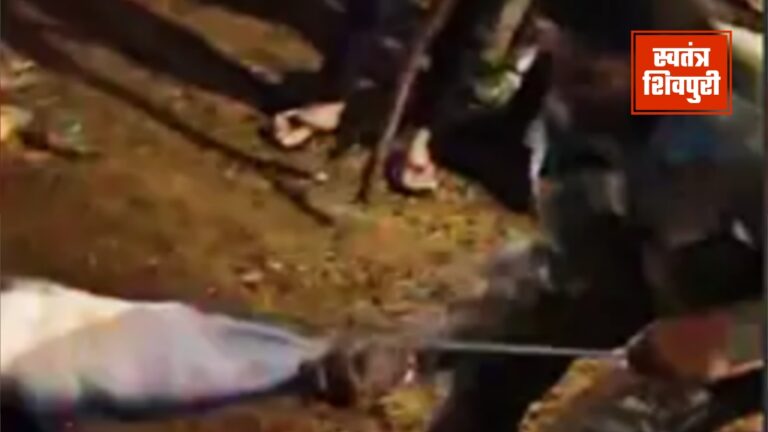 Picsart 24 08 26 17 10 20 981