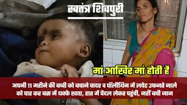 Picsart 24 08 26 17 15 35 101